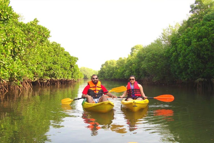 Waterway,Bayou,Water transportation,Vehicle,Outdoor recreation,Kayaking,Nature reserve,Boating,Boat,Canoeing