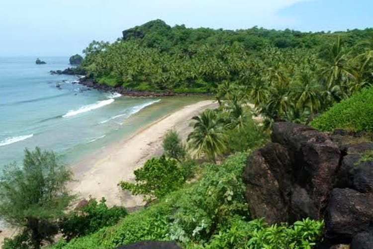 Body of water,Vegetation,Coast,Natural landscape,Nature,Nature reserve,Shore,Promontory,Water resources,Coastal and oceanic landforms