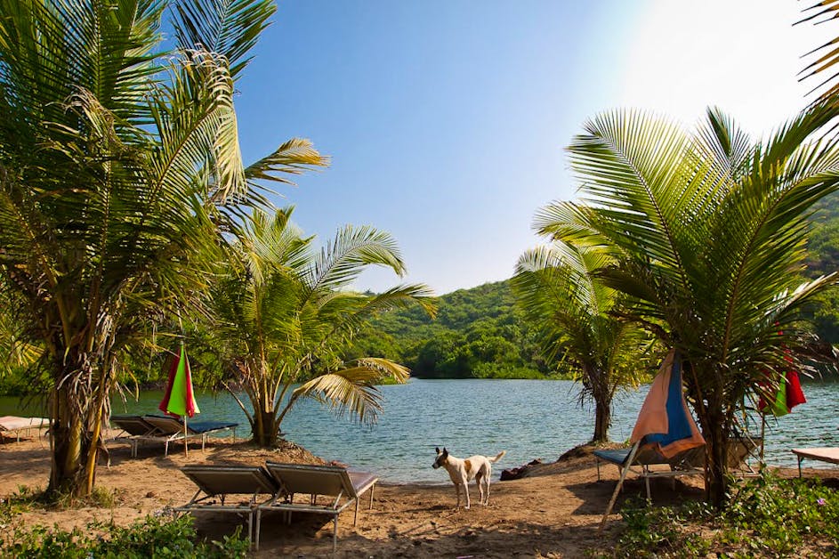 Sweet Water Lake  Arambol  Nature Lover s Paradise LBB Goa