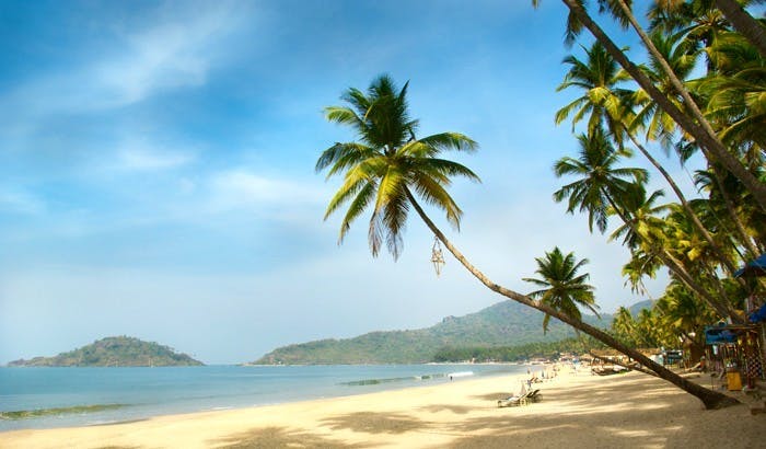 Tree,Tropics,Beach,Sky,Nature,Palm tree,Caribbean,Sea,Arecales,Ocean