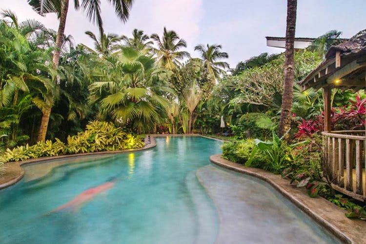 Swimming pool,Resort,Property,Real estate,Water,Botany,Tree,Vacation,Leisure,Tropics