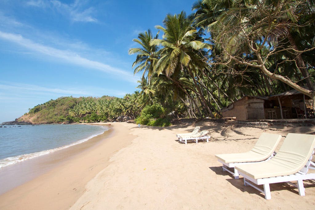 Beach,Shore,Property,Vacation,Caribbean,Coast,Tropics,Tree,Palm tree,Resort