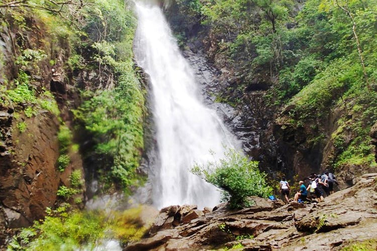 Waterfall,Water resources,Body of water,Nature,Water,Natural landscape,Nature reserve,Vegetation,Watercourse,Wilderness