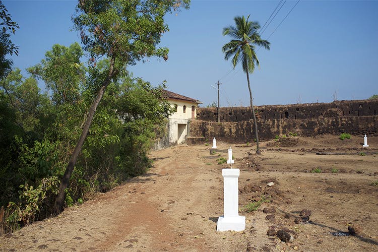 Property,Tree,Land lot,Soil,Rural area,Adaptation,Palm tree,Landscape,Road,House