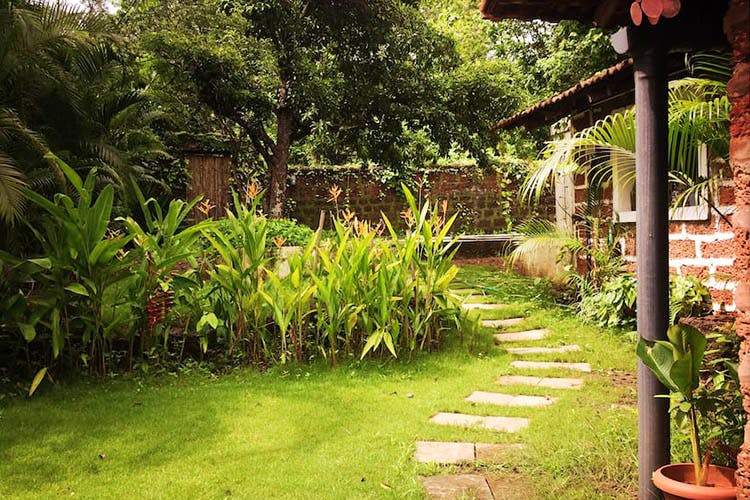 Vegetation,Garden,Property,Natural landscape,Grass,Yard,Botany,Backyard,Tree,Plant