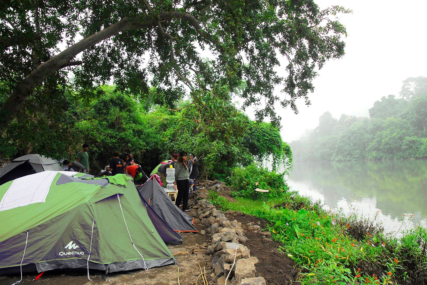 Jungle,Atmospheric phenomenon,Tree,Wilderness,Morning,Biome,Hill station,Rainforest,Tent,River