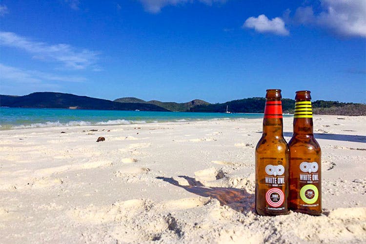 Drink,Beer,Liqueur,Beach,Bottle,Alcoholic beverage,Sky,Vacation,Sea,Summer